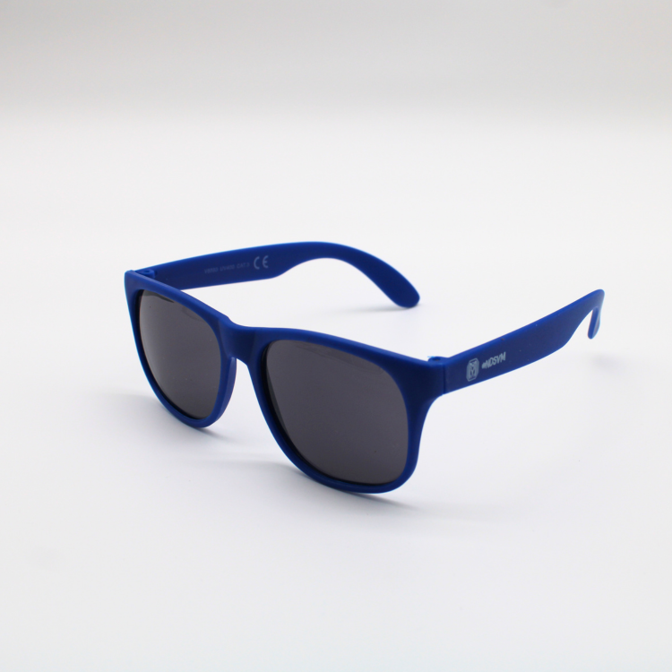 SVM Fanbrille #ndsvm